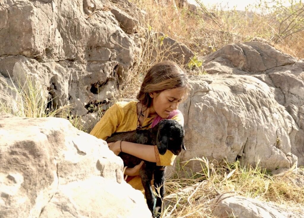 33 Skater Girl 2021-3