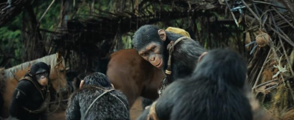 156 Kingdom of the Planet of the Apes 2024 - 3
