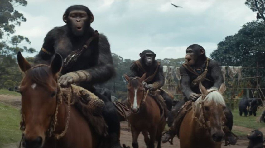 Kingdom Of The Planet Of The Apes