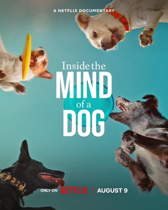 Inside the Mind of a Dog (Netflix) Story, Review, Trailer, Release Date, Songs, Cast