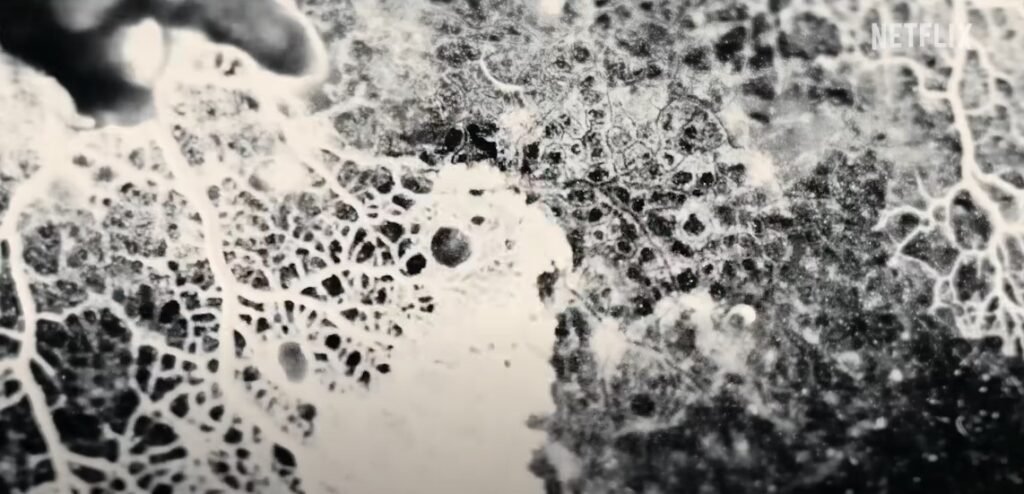 839 The Twister- Caught in the Storm - 4