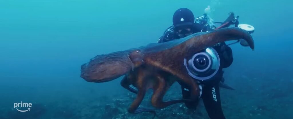 Octopus (AmazonPrimeVideo) Story, Review, Trailer, Release Date, Songs, Cast